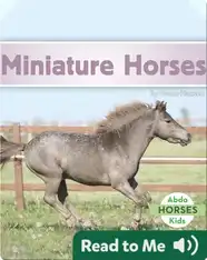 Miniature Horses