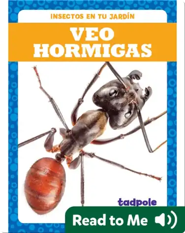 Veo hormigas (I See Ants) book