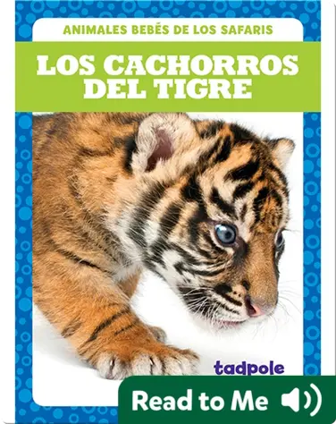 Los cachorros del tigre (Tiger Cubs) book