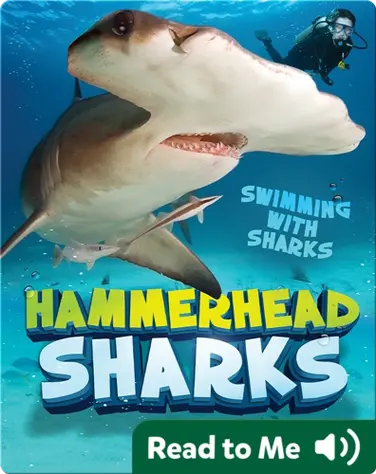 Hammerhead Sharks book
