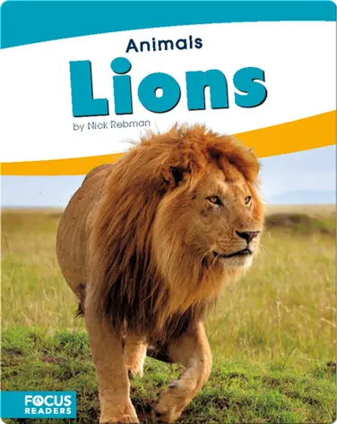 Animals: Lions book