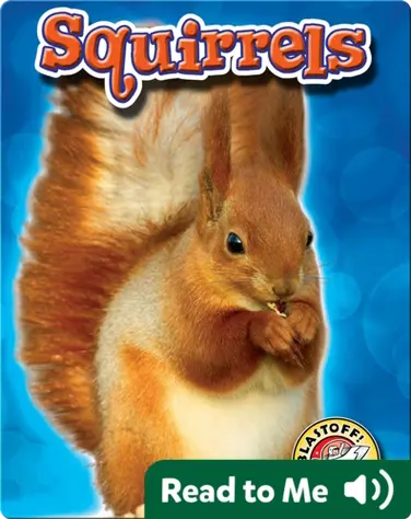 Squirrels: Backyard Wildlife book