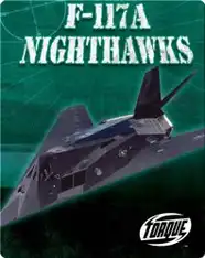 F-117A Nighthawks