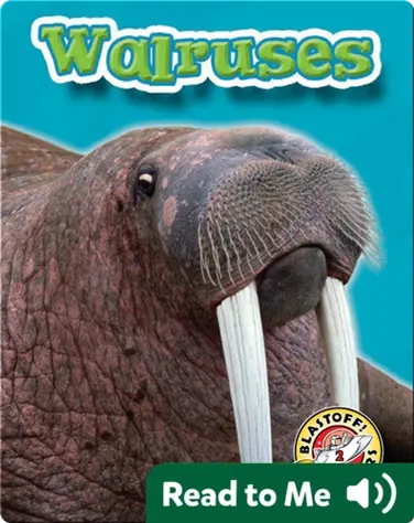 Walruses: Oceans Alive book