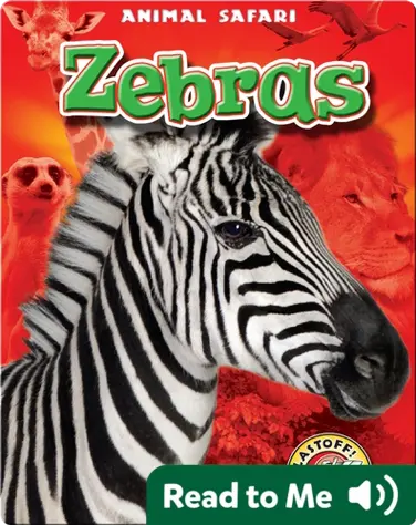 Zebras: Animal Safari book