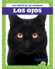Las partes de los animales: Los Ojos