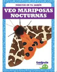 Insectos en tu jardín: Veo mariposas nocturnas