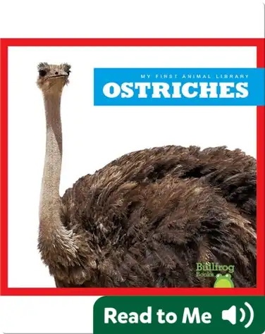 My First Animal Library: Ostriches book