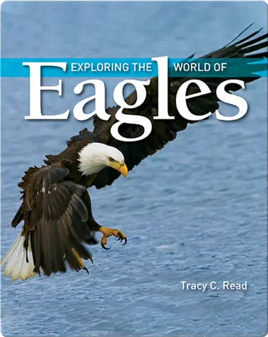 Exploring the World of Eagles book