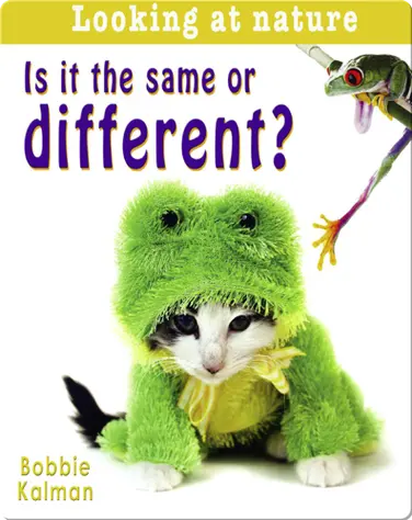 Is it the same or Different? book