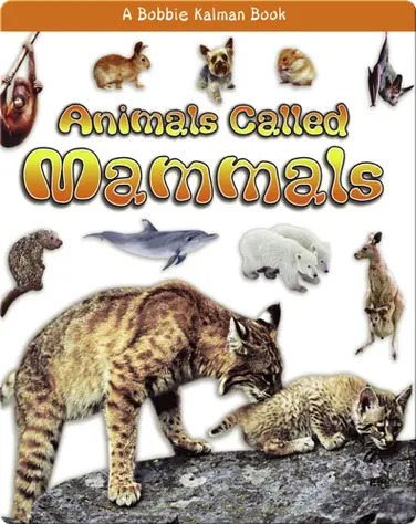 Animals called Mammals book