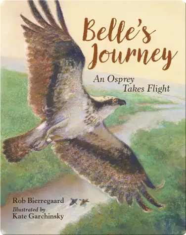 Belle's Journey: An Osprey Takes Flight book