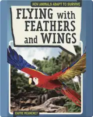 Flying with Feathers and Wings