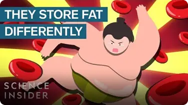 How Sumo Wrestlers Stay Healthy On 7,000 Calories A Day book