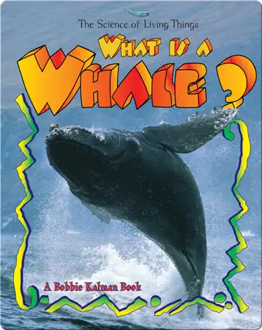 What is a Whale? book