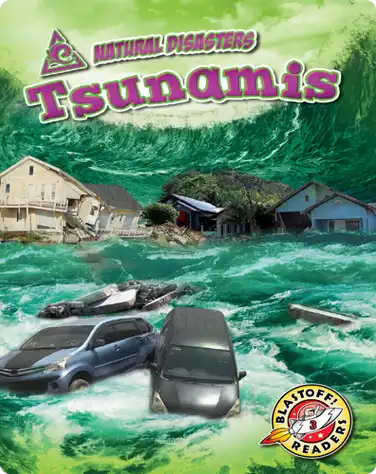 Tsunamis book