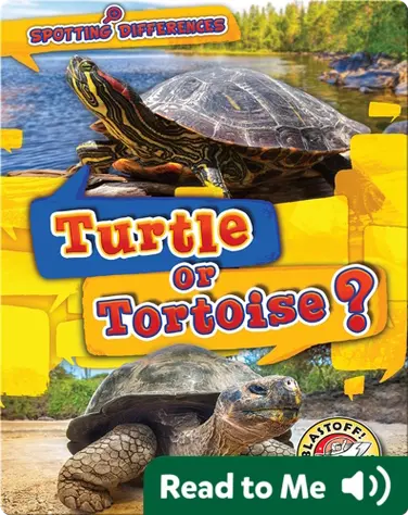 Turtle or Tortoise? book