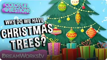 Why Do We Have Christmas Trees? | COLOSSAL QUESTIONS book