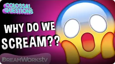 Why Do We Scream When We’re Scared? | COLOSSAL QUESTIONS book