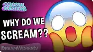 Why Do We Scream When We’re Scared? | COLOSSAL QUESTIONS