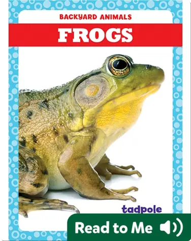 Backyard Animals: Frogs book
