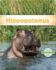 Hippopotamus