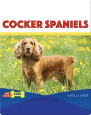 Cocker Spaniels