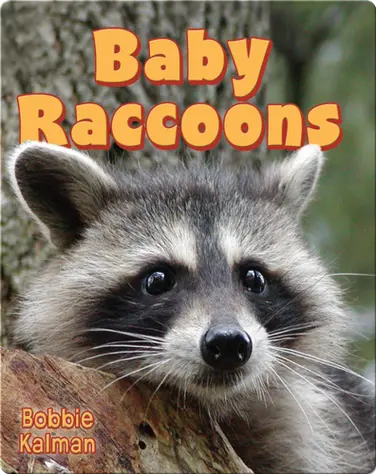Baby Raccoons book