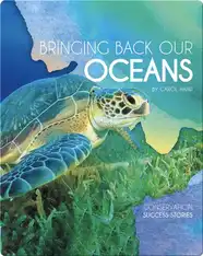 Bringing Back Our Oceans