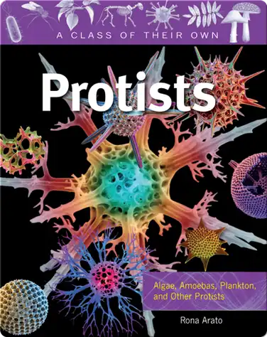 Protists book