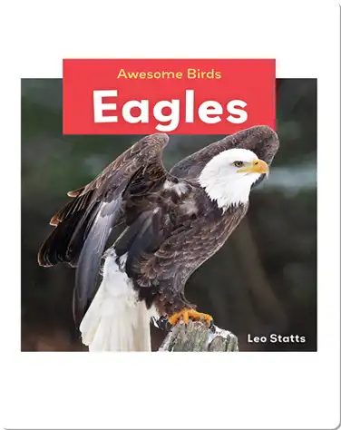 Eagles book