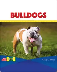 Bulldogs
