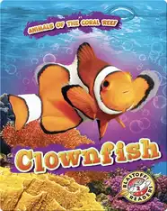 Animals of the Coral Reefs: Clownfish