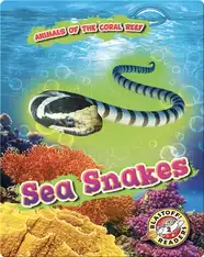 Animals of the Coral Reefs: Sea Snakes