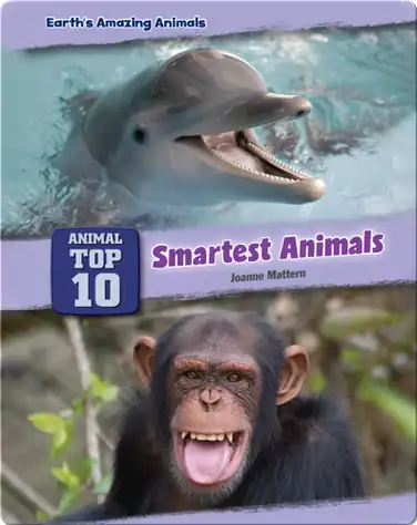 Top Ten Smartest Animals book