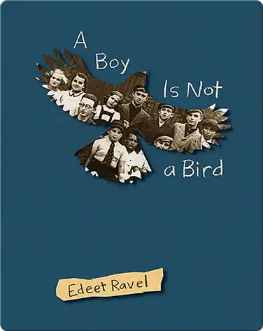 A Boy Is Not a Bird book