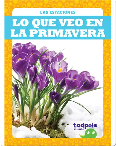 Lo que veo en la primavera (What I See in Spring) book