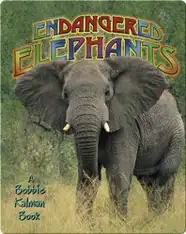 Endangered Elephants