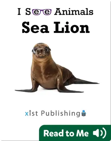 I See Animals: Sea Lion book