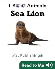 I See Animals: Sea Lion