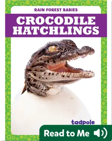 Rain Forest Babies: Crocodile Hatchlings book