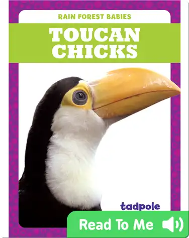 Rain Forest Babies: Toucan Chicks book
