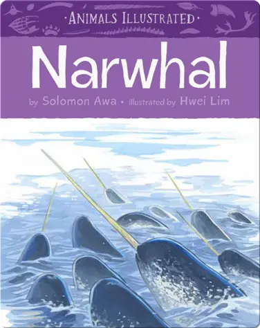 Animals Illustrated: Narwhal book