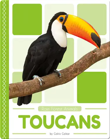 Rain Forest Animals: Toucans book