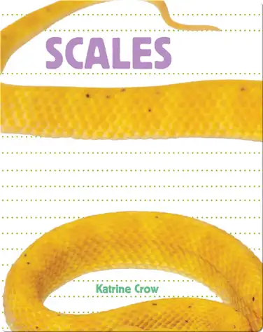 Whose Is It?: Scales book