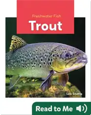 Freshwater Fish: Trout