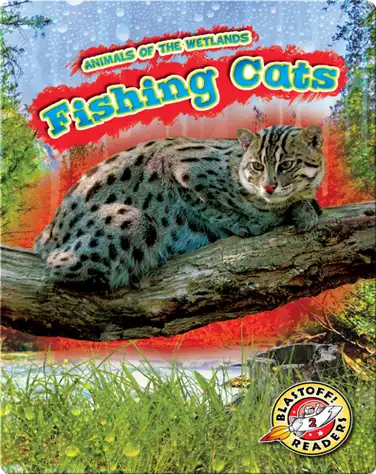 Animals of the Wetlands: Fishing Cats book