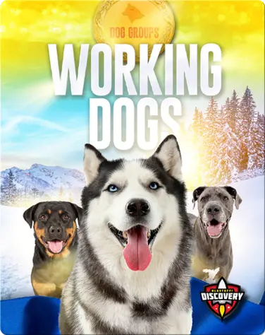 Dog Groups: Working Dogs book