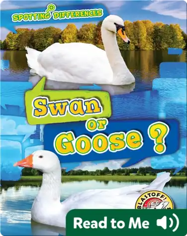 Spotting Differences: Swan or Goose? book