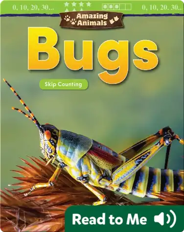 Amazing Animals: Bugs: Skip Counting book